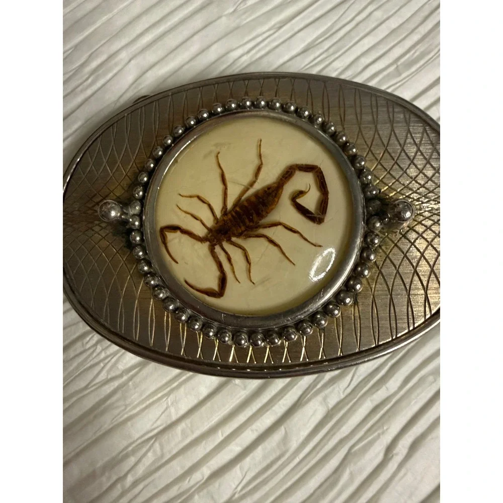 Vintage Inspired Oval Belt Buckle Real Scorpion Encased In Resin Center